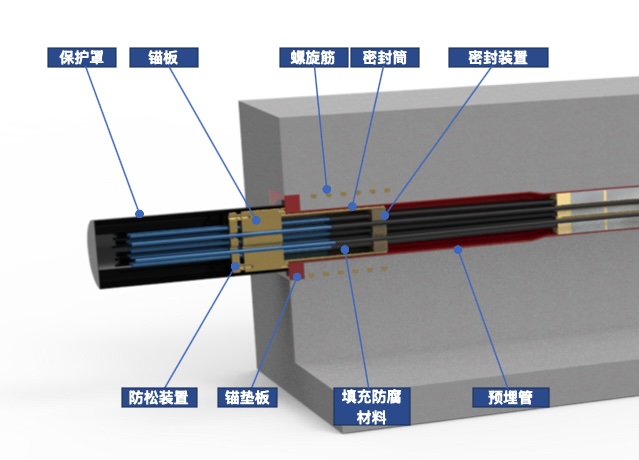 散束式体外索-锚固装置
